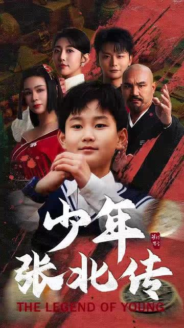 少年张北传(全集)