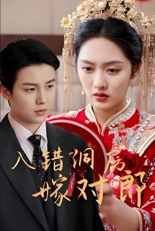 入错洞房嫁对郎(全集)