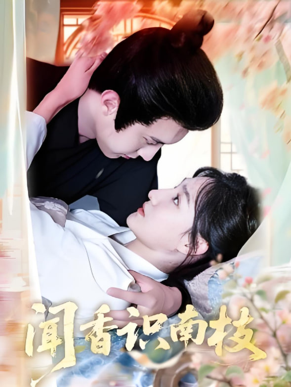 闻香识南枝(全集)