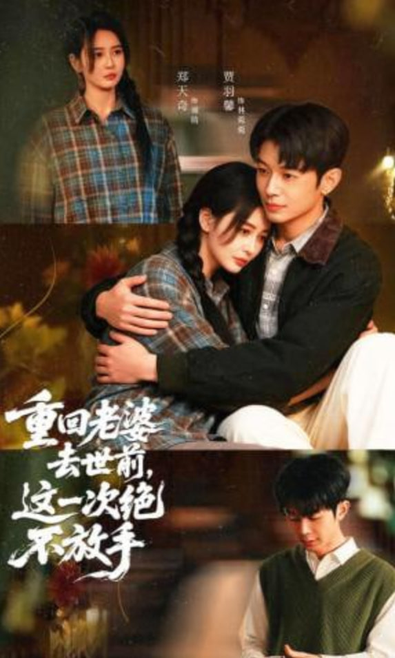 重回老婆去世前，这一次绝不放手(全集)