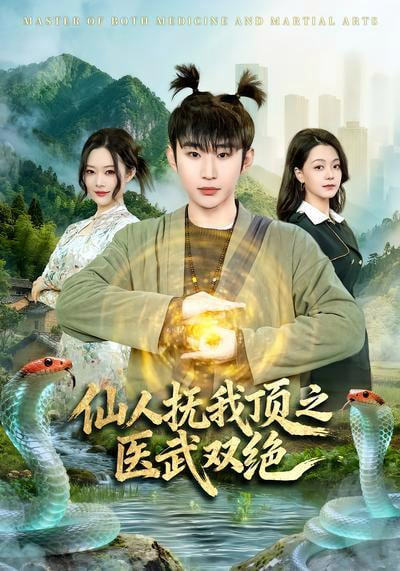 仙人抚我顶之医武双绝(全集)