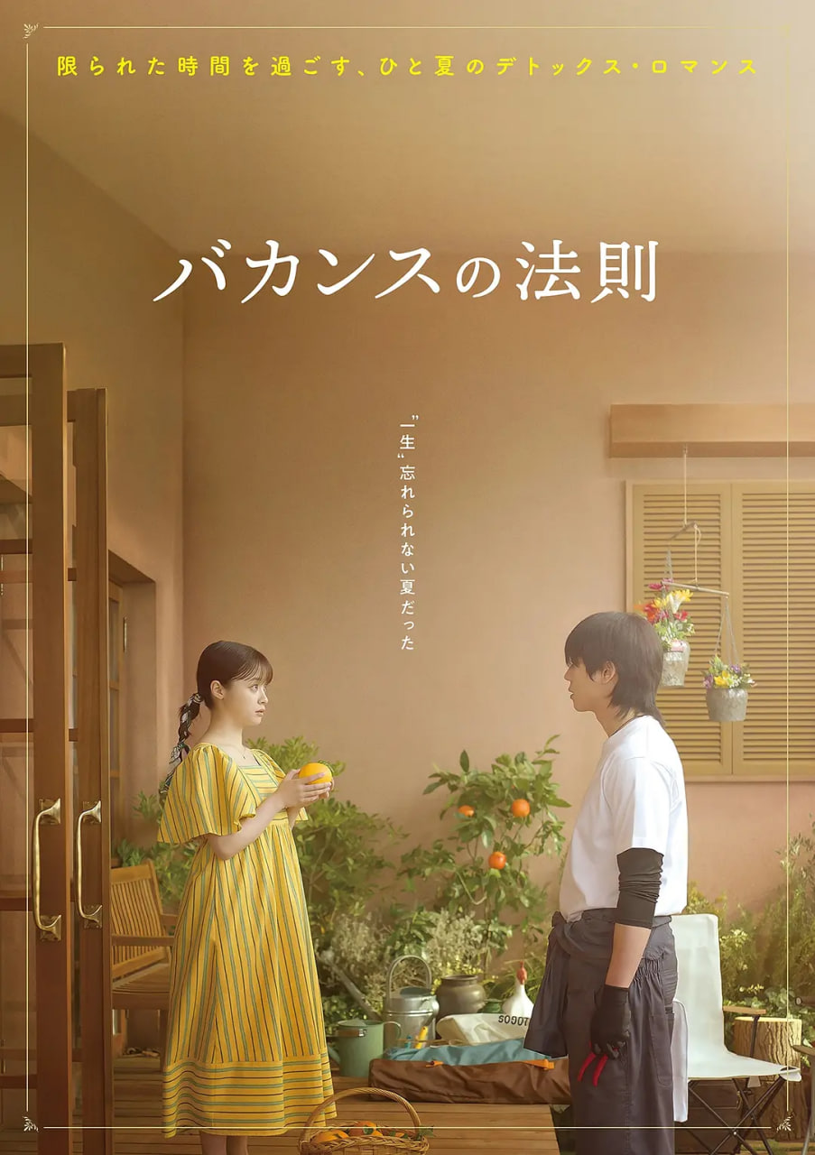 度假法则(全集)