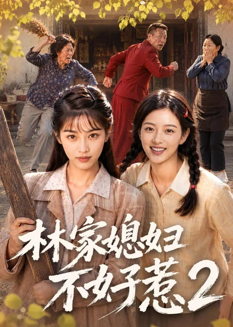 林家媳妇不好惹2(全集)