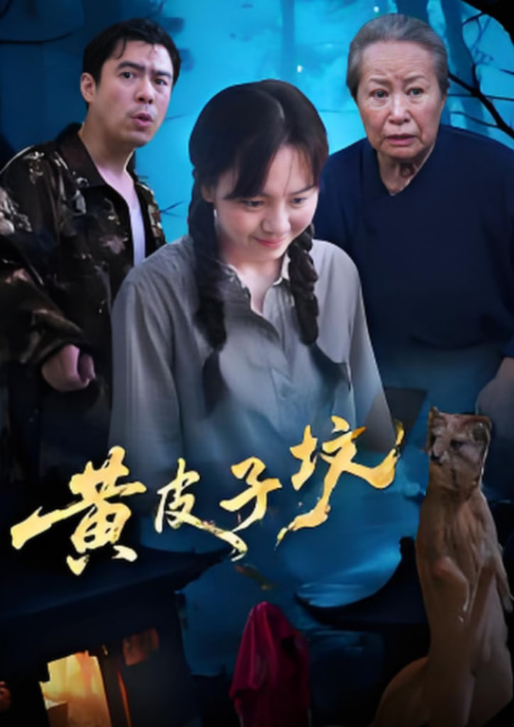 黄皮子坟(全集)